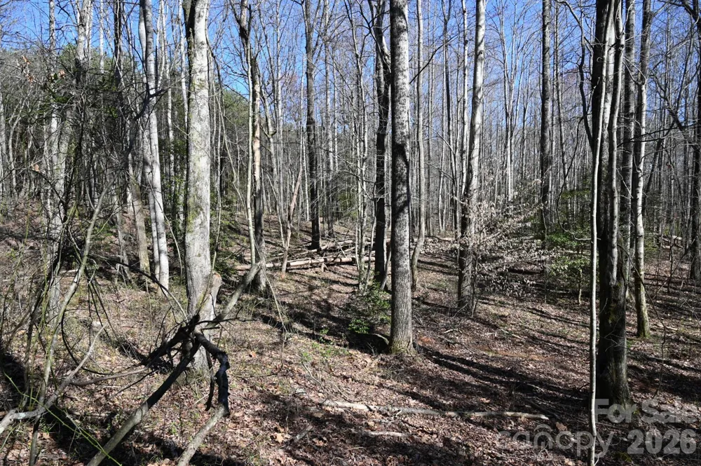 1188 Camp Creek Road Hickory, NC 28602