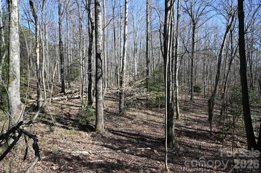 1188 Camp Creek Road Hickory, NC 28602