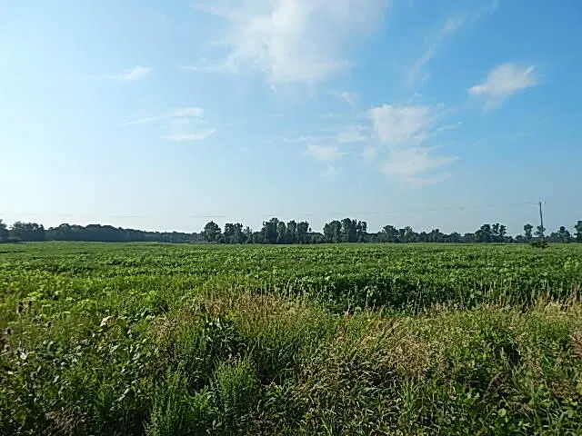 1455 W Hyde Road St. Johns, MI 48879