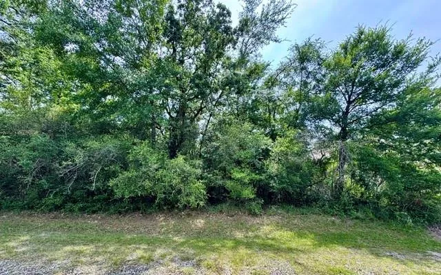 5 Molitar Trinity, TX 75862
