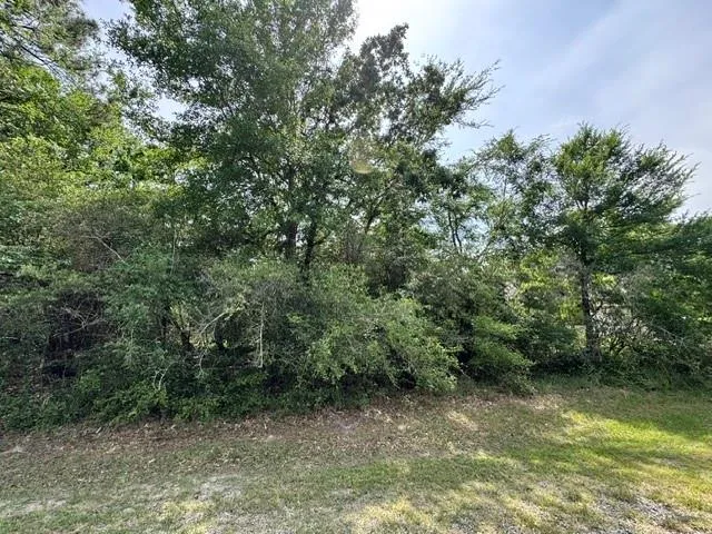 5 Molitar Trinity, TX 75862