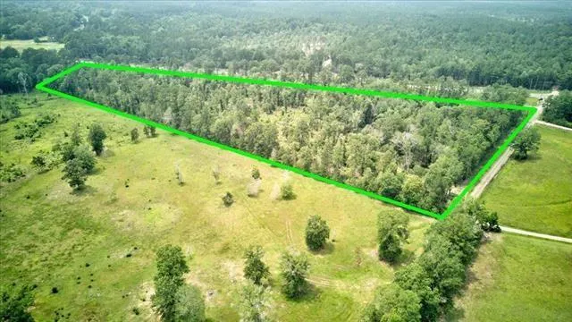 254 County Road 3063 Kirbyville, TX 75956