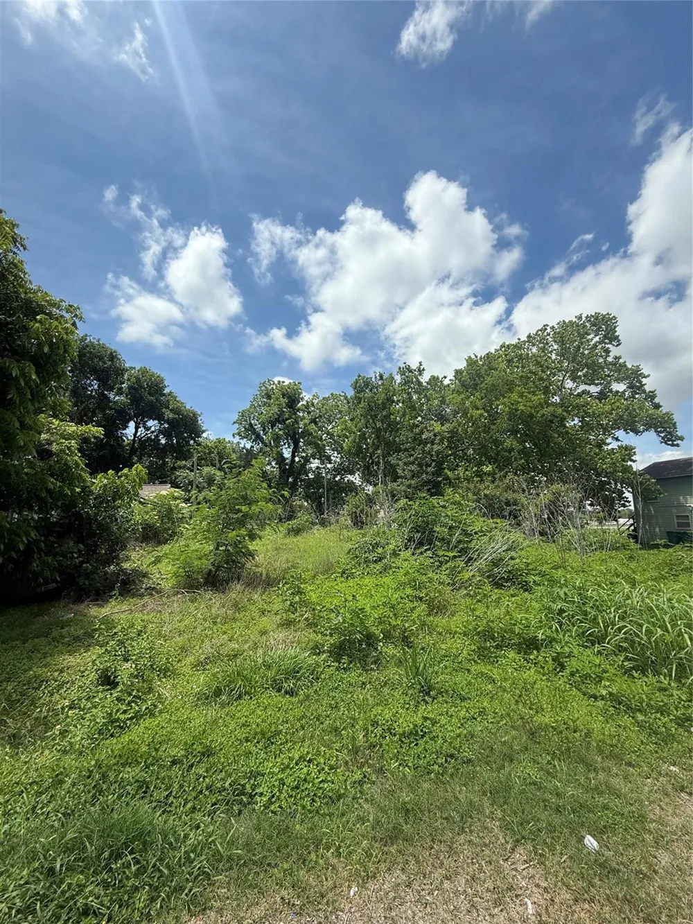 207 Prune Street La Marque, TX 77568