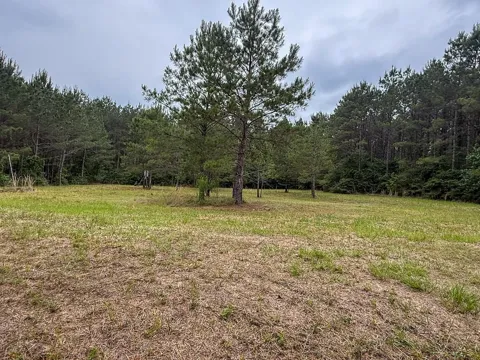 1131 Big Woods Road