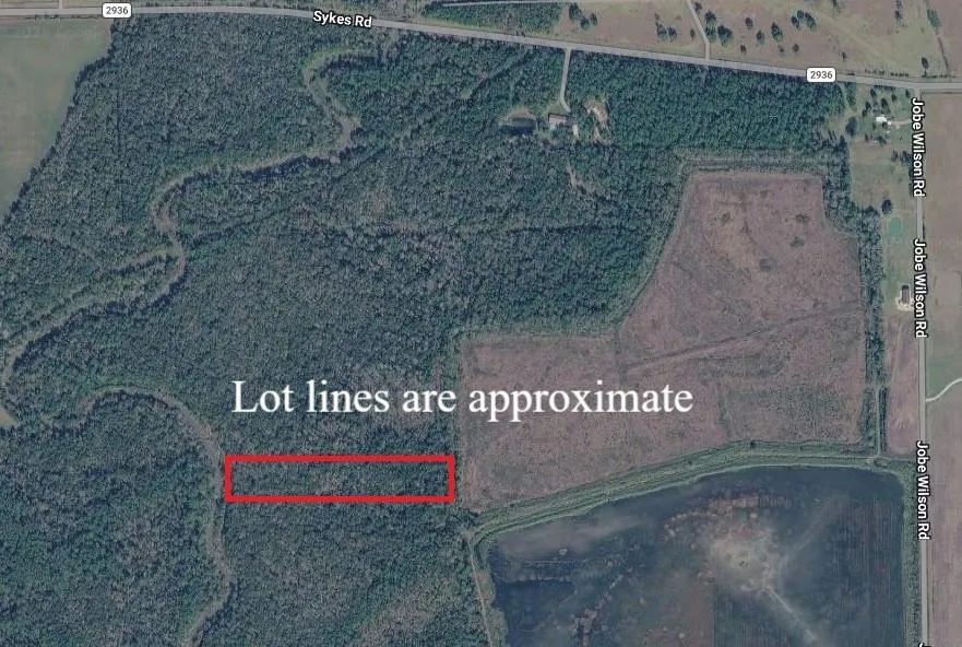Jobe Wilson Road Anahuac, TX 77514