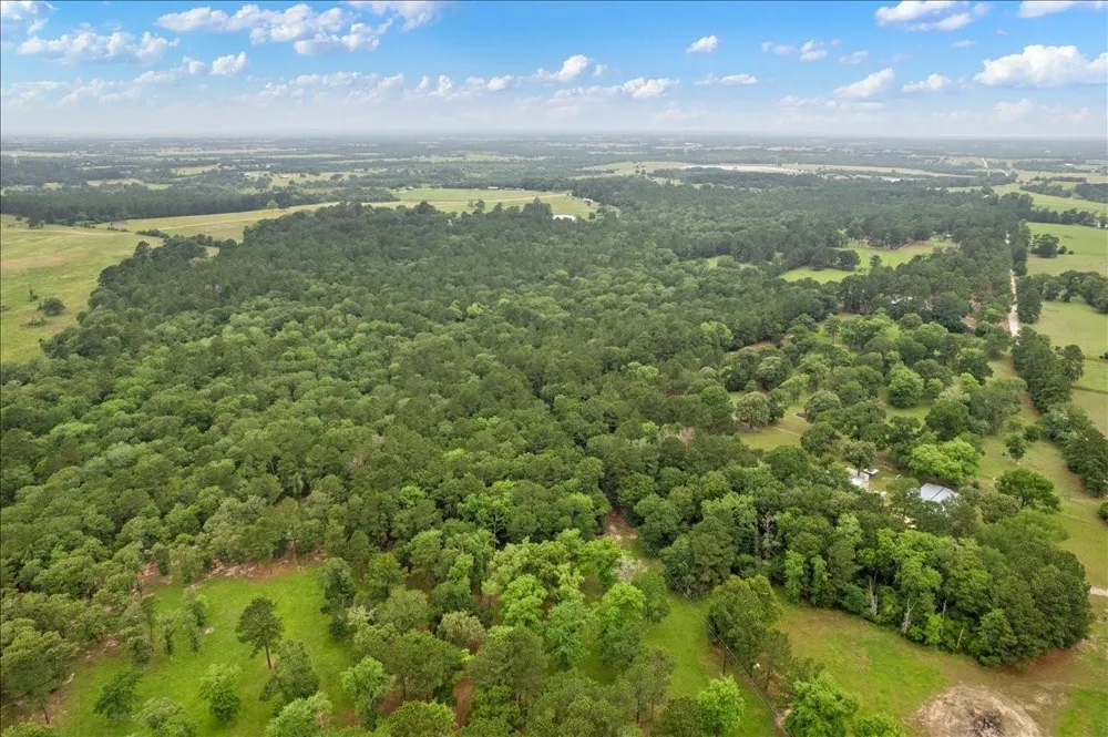 Cr446, Navasota, Tx 77868 Navasota, TX 77868