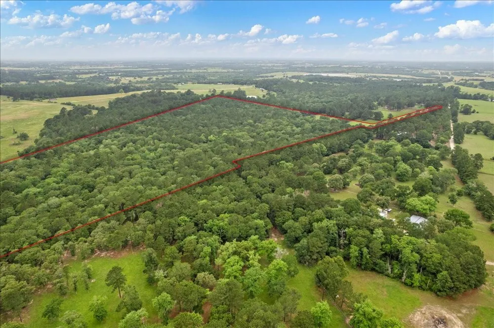 Cr446, Navasota, Tx 77868 Navasota, TX 77868