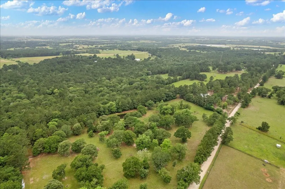 Cr446, Navasota, Tx 77868 Navasota, TX 77868