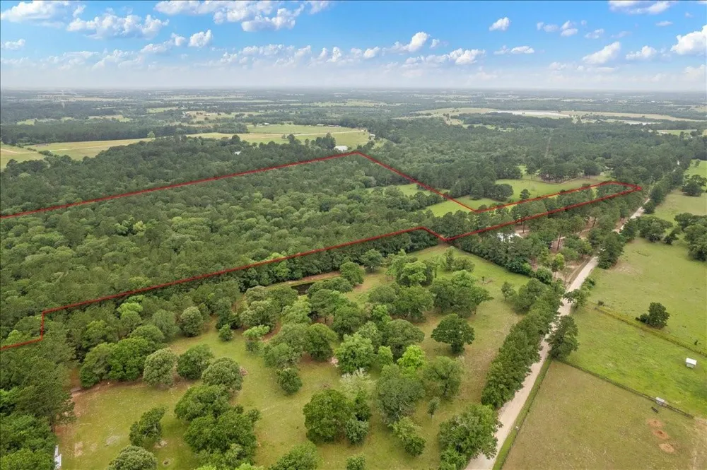 Cr446, Navasota, Tx 77868 Navasota, TX 77868
