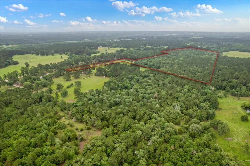 Cr446, Navasota, Tx 77868 Navasota, TX 77868