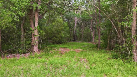 1165 Cr 213 Tract 3