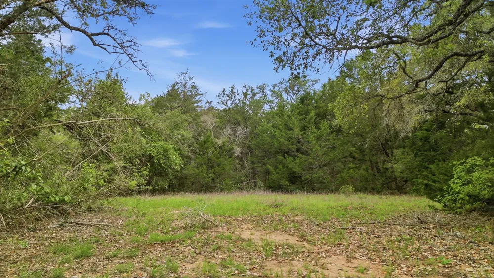 1165 Cr 213 Tract 3 Weimar, TX 78962