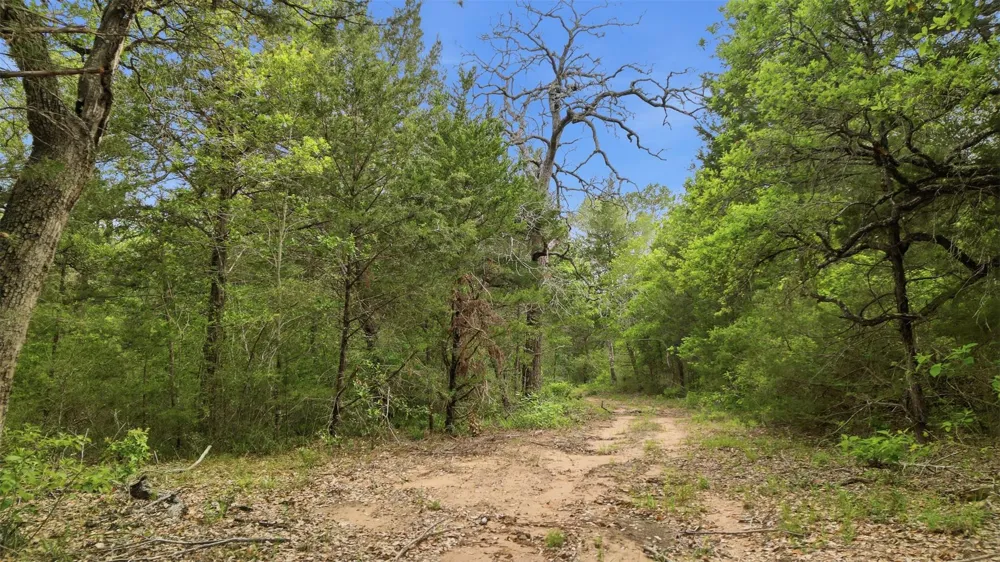 1165 Cr 213 Tract 3 Weimar, TX 78962
