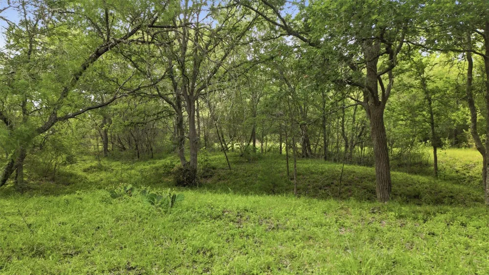 1165 Cr 213 Tract 3 Weimar, TX 78962