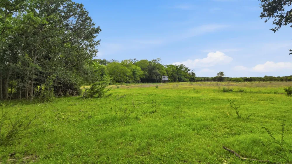 1165 Cr 213 Tract 3 Weimar, TX 78962