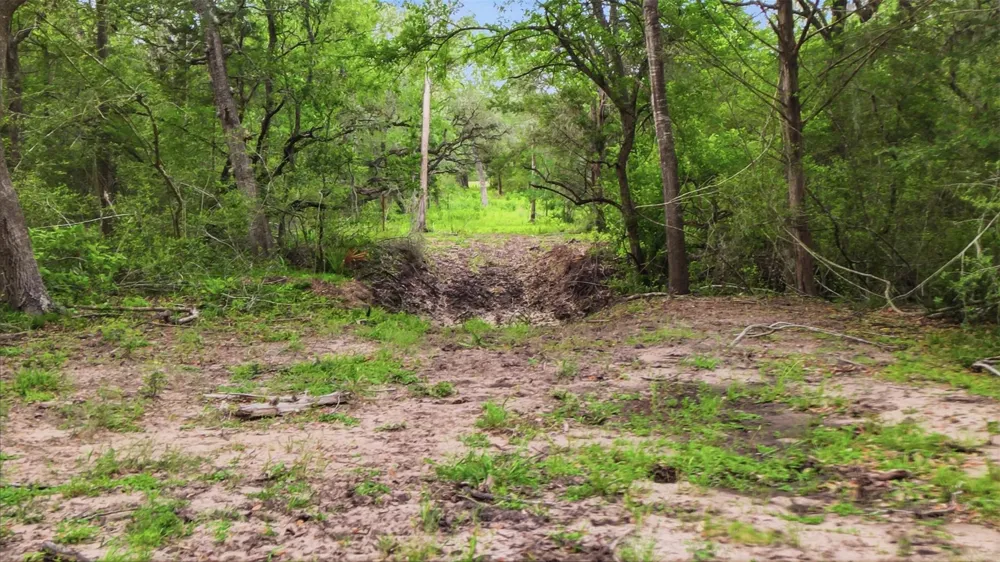 1165 Cr 213 Tract 3 Weimar, TX 78962
