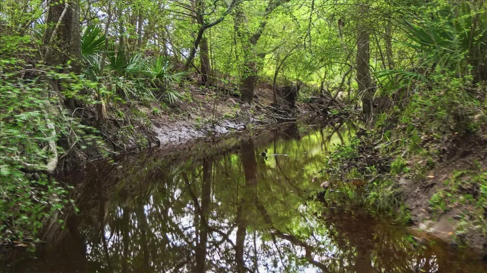 1165 Cr 213 Tract 3 Weimar, TX 78962