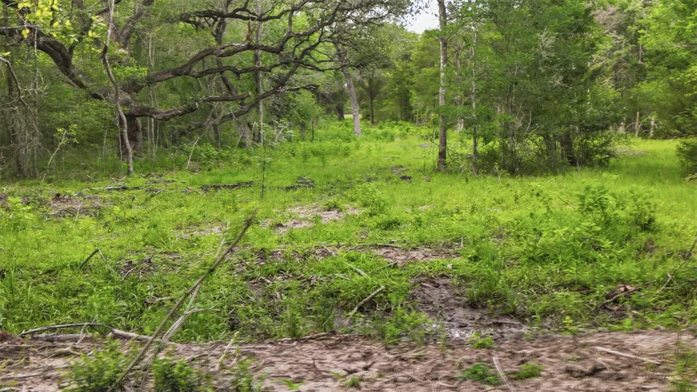 1165 Cr 213 Tract 3 Weimar, TX 78962