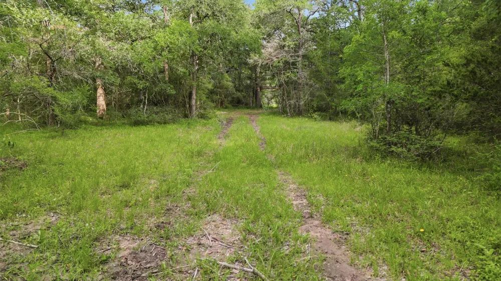 1165 Cr 213 Tract 3 Weimar, TX 78962