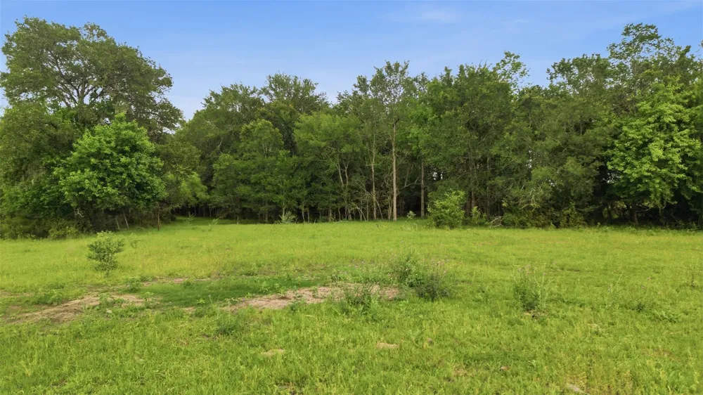 1165 Cr 213 Tract 3 Weimar, TX 78962