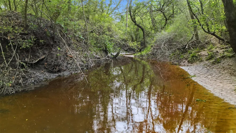 1165 Cr 213 Tract 3 Weimar, TX 78962