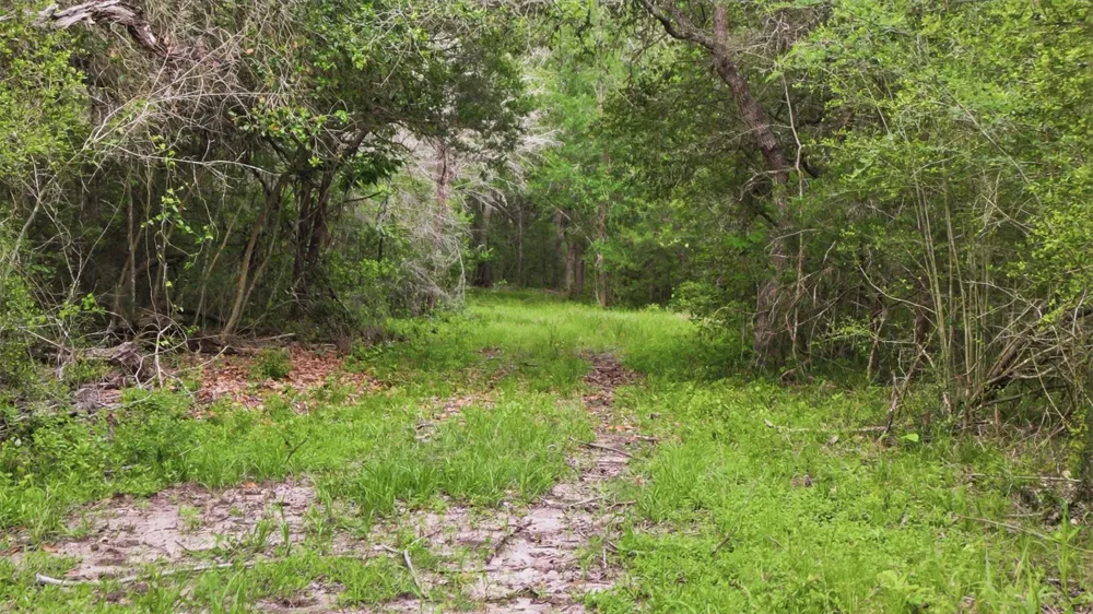1165 Cr 213 Tract 3 Weimar, TX 78962