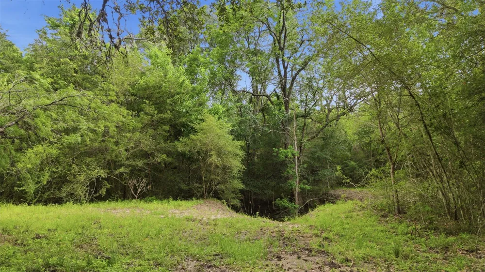1165 Cr 213 Tract 3 Weimar, TX 78962