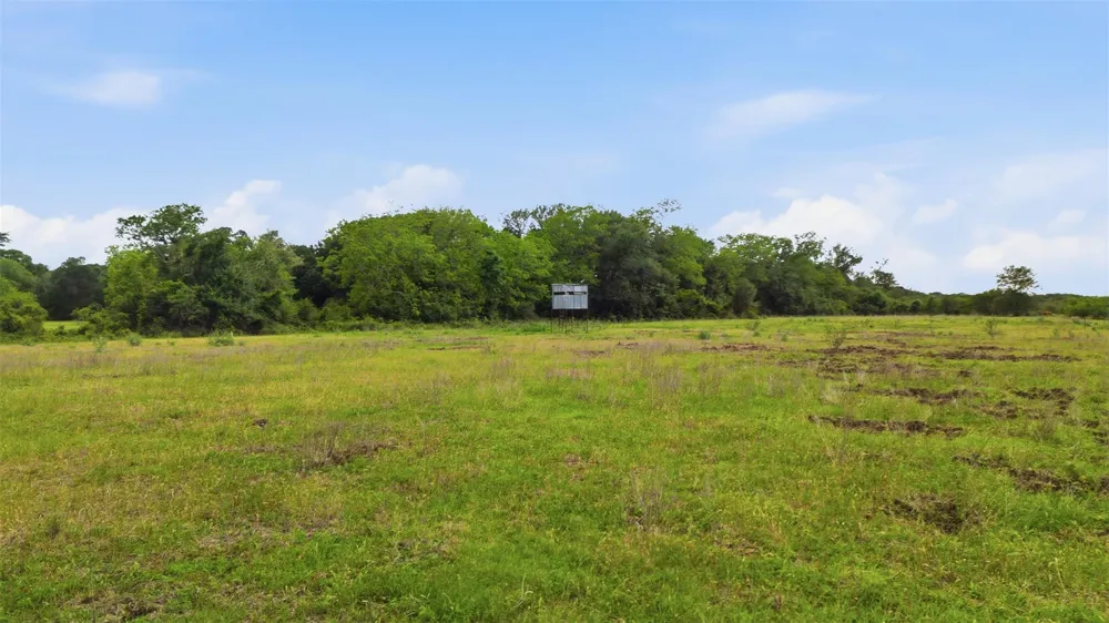 1165 Cr 213 Tract 3 Weimar, TX 78962