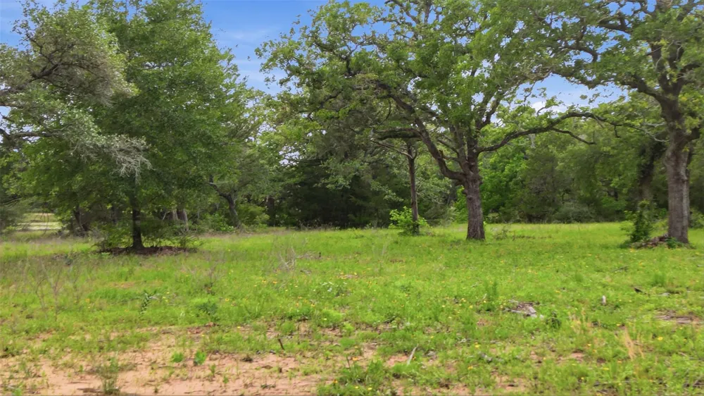 1165 Cr 213 Tract 3 Weimar, TX 78962