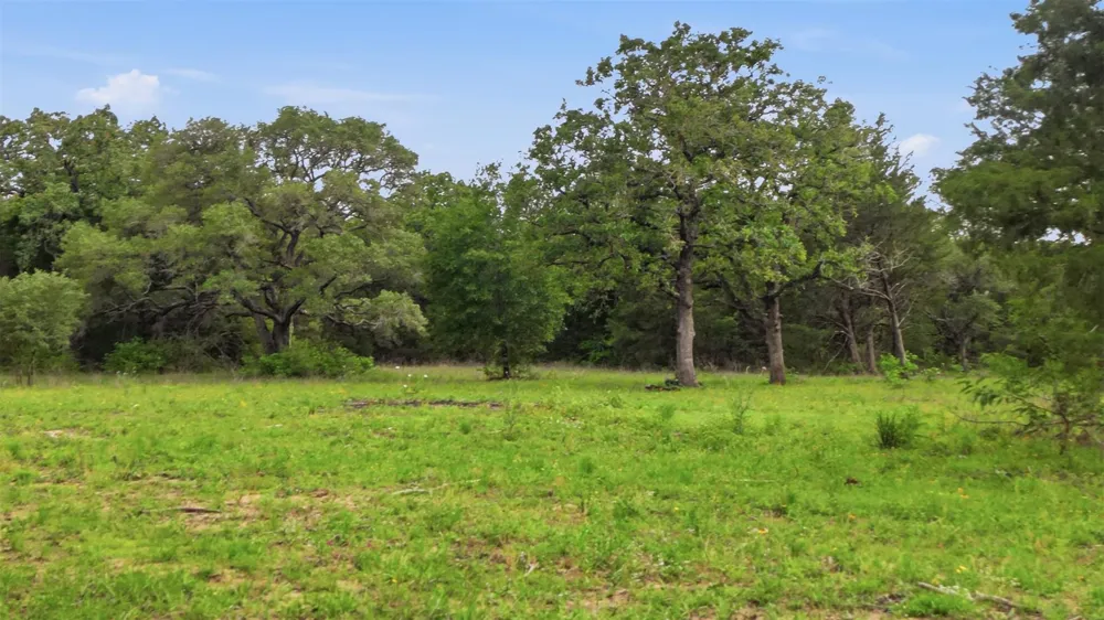 1165 Cr 213 Tract 3 Weimar, TX 78962