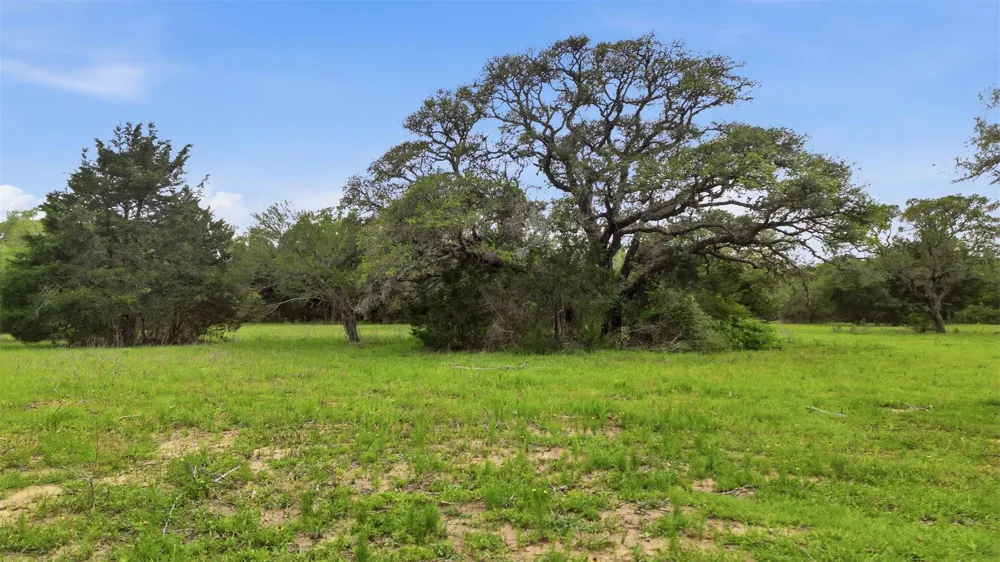1165 Cr 213 Tract 3 Weimar, TX 78962