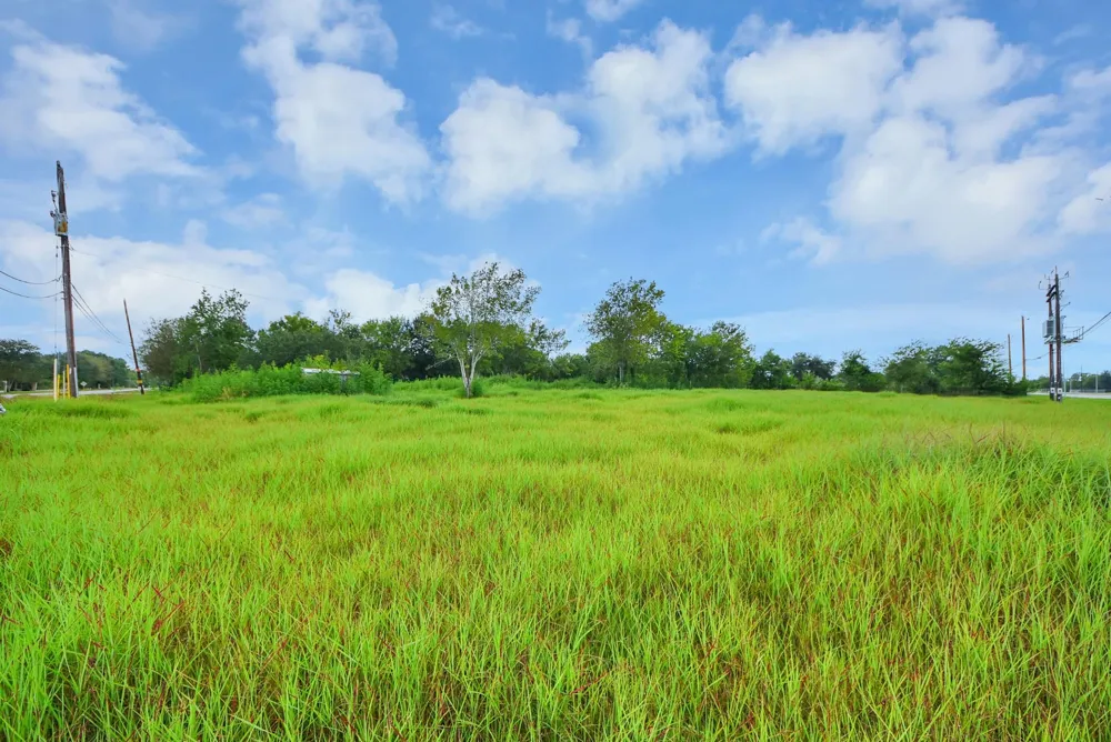 16618 County Road 831 Pearland, TX 77584