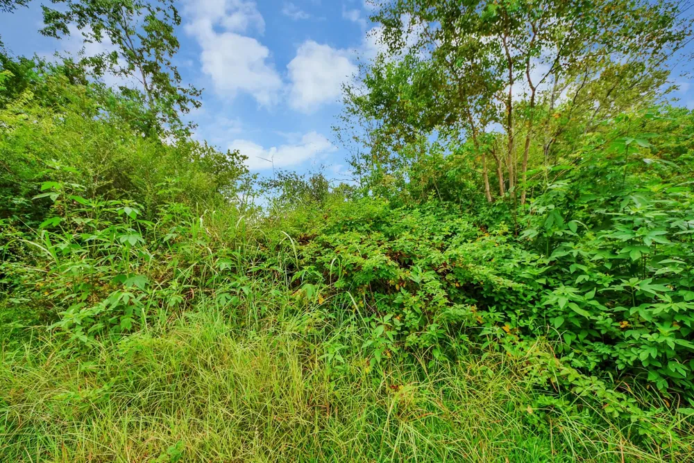 16618 County Road 831 Pearland, TX 77584