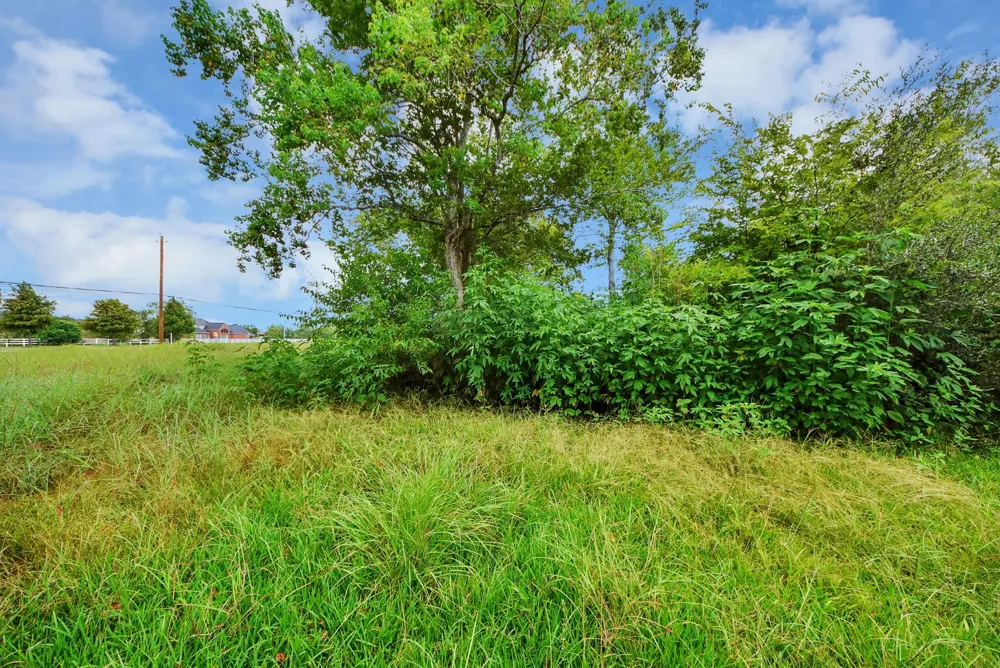 16618 County Road 831 Pearland, TX 77584