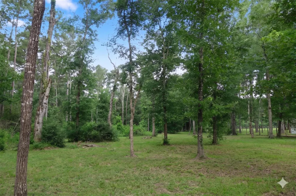 10792 Hwy 156 Coldspring, TX 77331