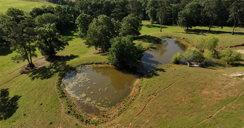 22720 Fm-2854 Montgomery, TX 77316
