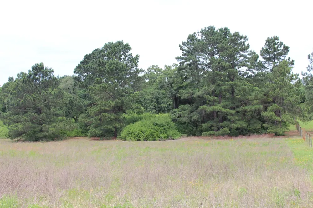 39 Pr 1315 Centerville, TX 75833