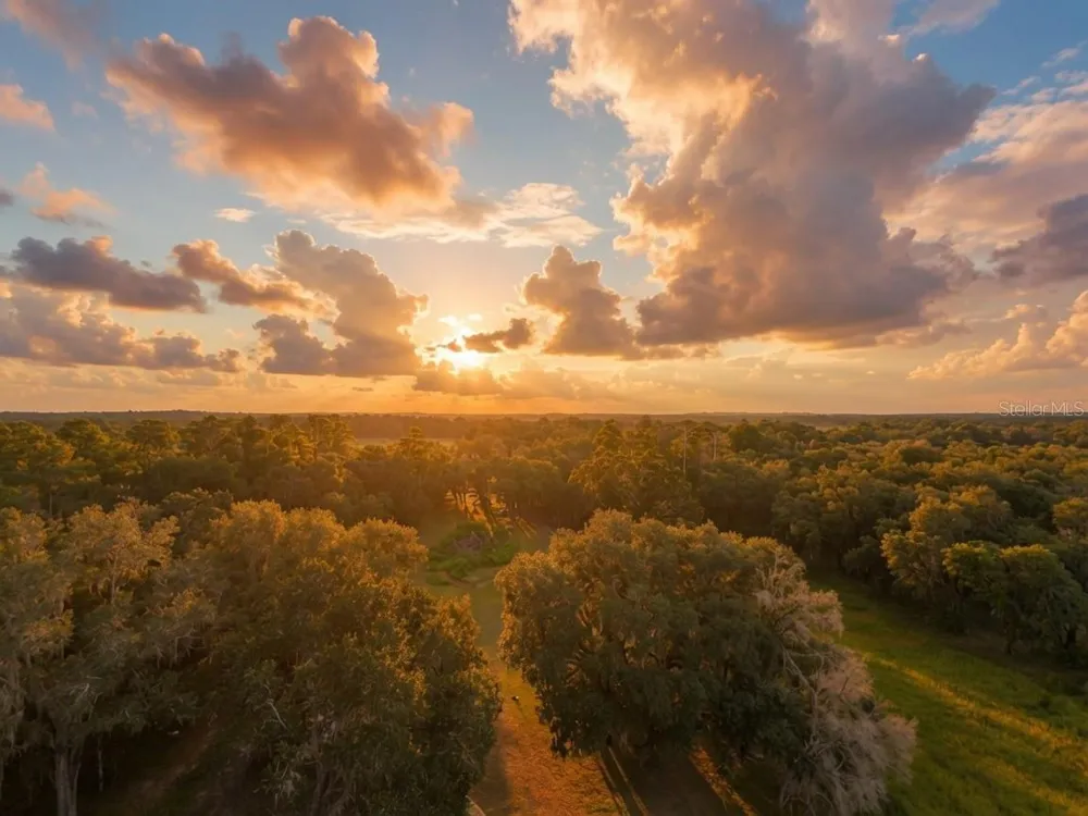 24368 DORSEY SMITH ROAD Brooksville, FL 34601