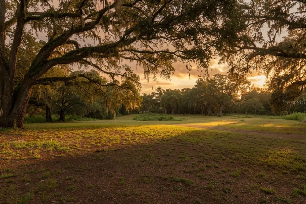 24368 DORSEY SMITH ROAD Brooksville, FL 34601