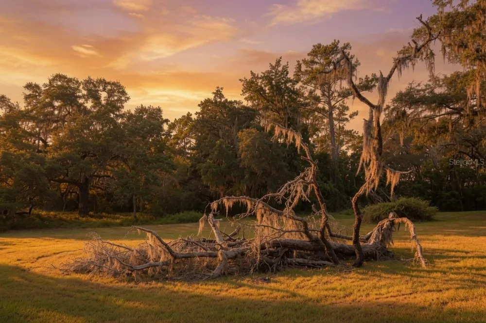 24368 DORSEY SMITH ROAD Brooksville, FL 34601