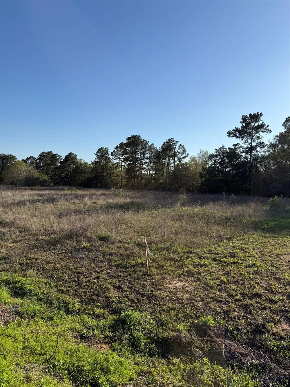 9480 Cedar Creek Lane Plantersville, TX 77363