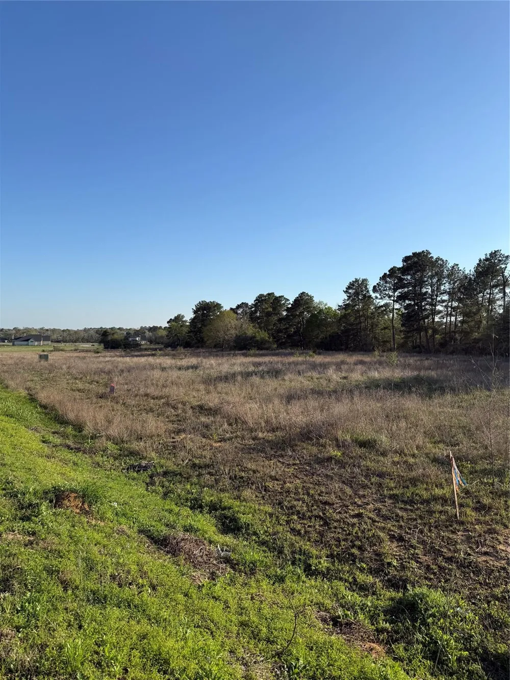 9480 Cedar Creek Lane Plantersville, TX 77363