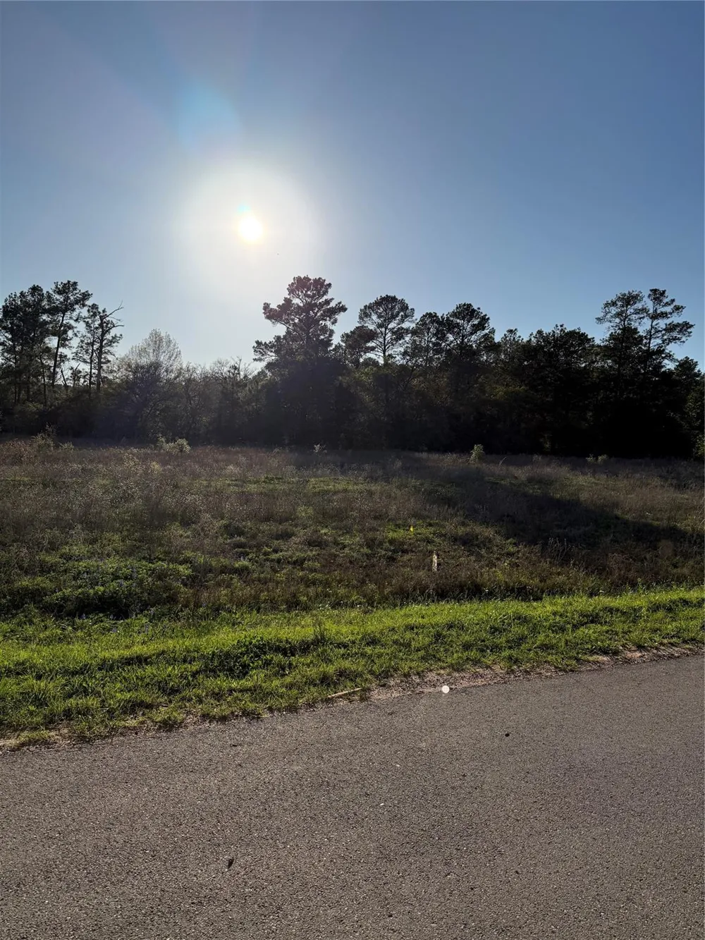 9480 Cedar Creek Lane Plantersville, TX 77363