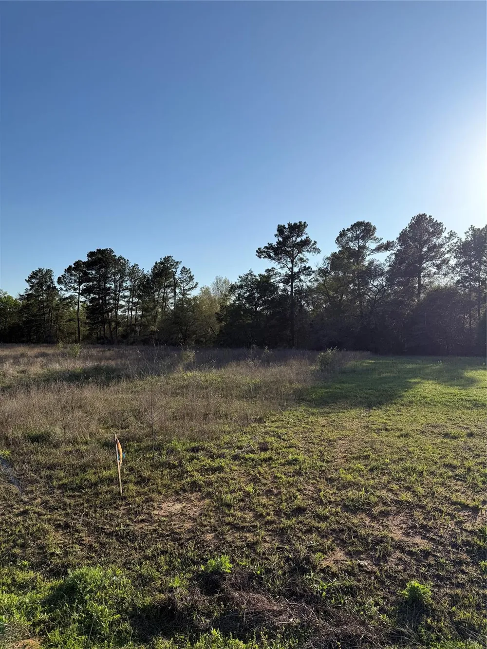9480 Cedar Creek Lane Plantersville, TX 77363