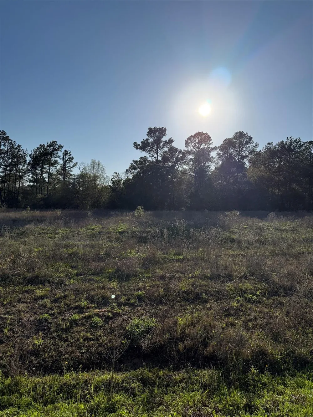 9480 Cedar Creek Lane Plantersville, TX 77363