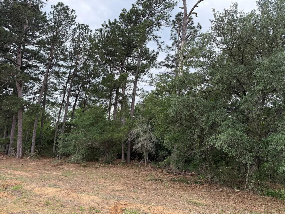 9480 Cedar Creek Lane Plantersville, TX 77363