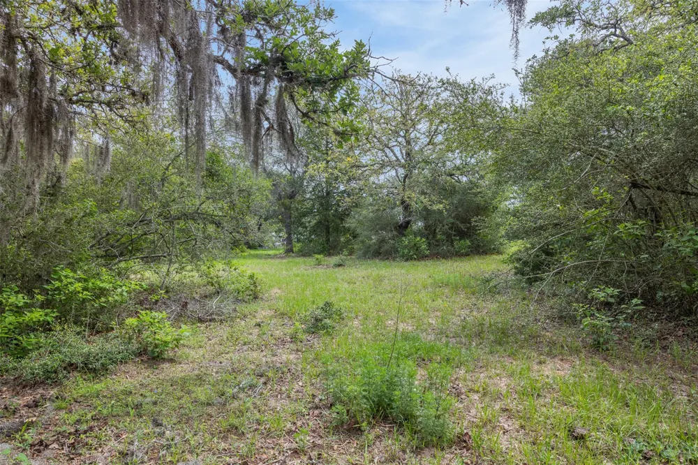 1134 Big Buck Road Weimar, TX 78962