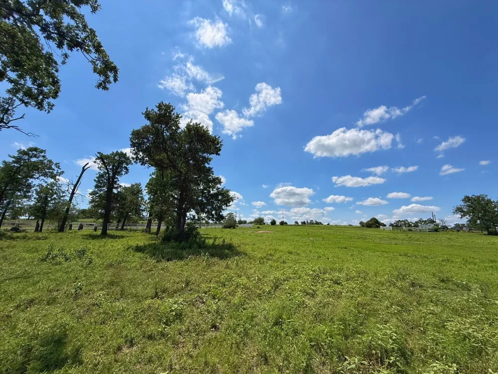 7117 Pr 3155 Buffalo, TX 75831