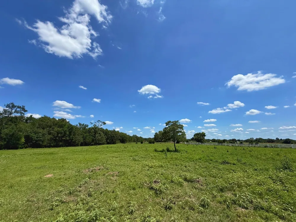7117 Pr 3155 Buffalo, TX 75831