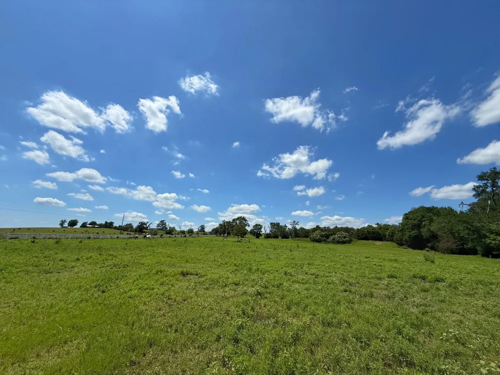 7117 Pr 3155 Buffalo, TX 75831